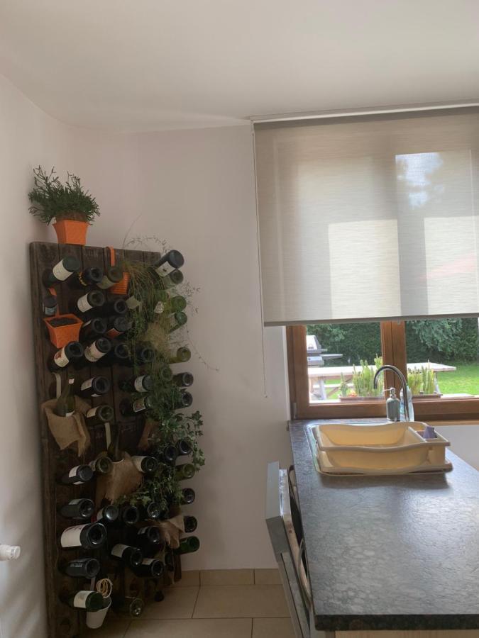 Les Hirondelles Apartman Wintzenheim Kültér fotó