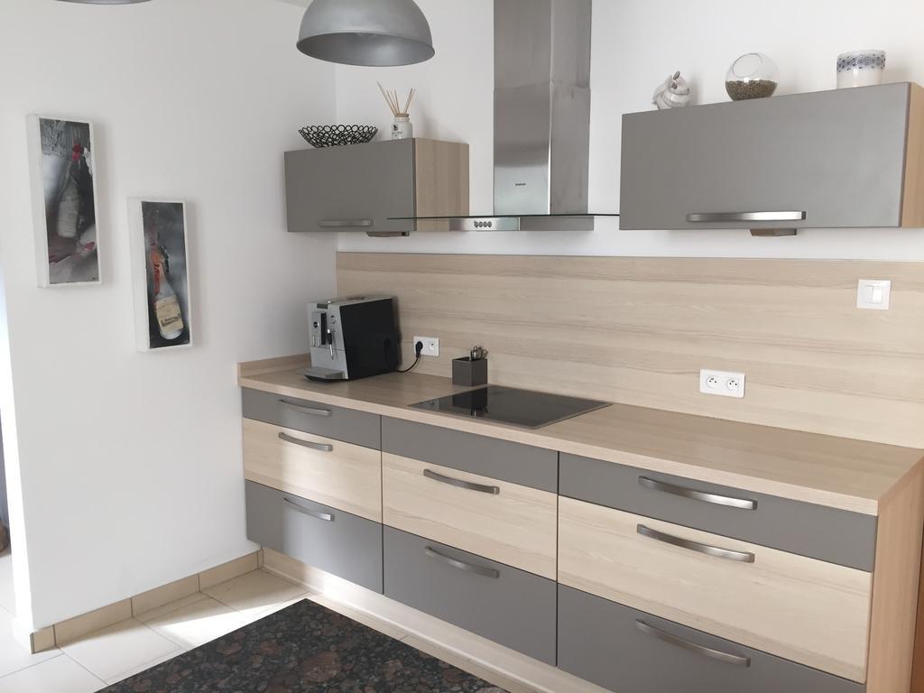 Les Hirondelles Apartman Wintzenheim Kültér fotó
